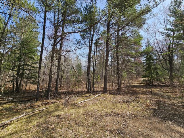 Near Jack Pine Forest Rd, Eagle River, WI 54521