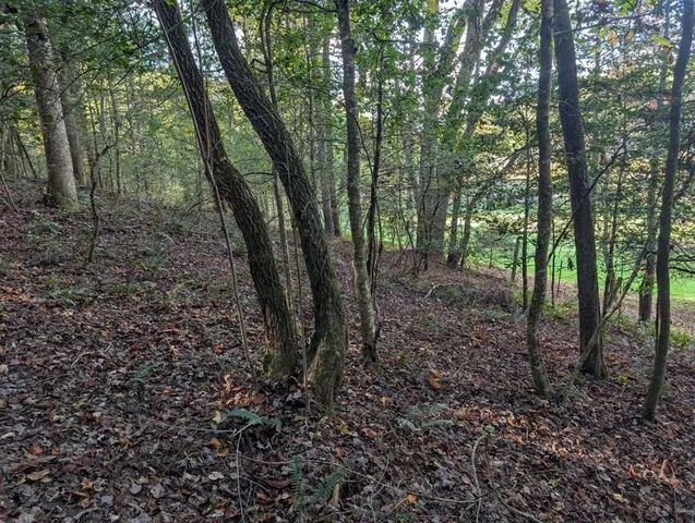 473 Oak Grove Rd, Murphy, NC 28906