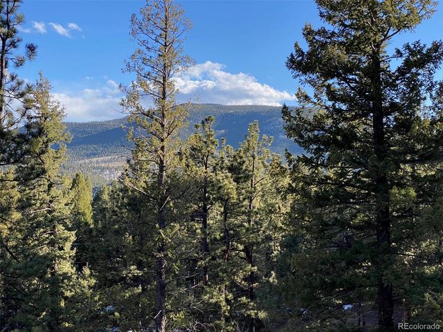 451 Old Sawmill Road  Lot 2, Bailey, CO 80421