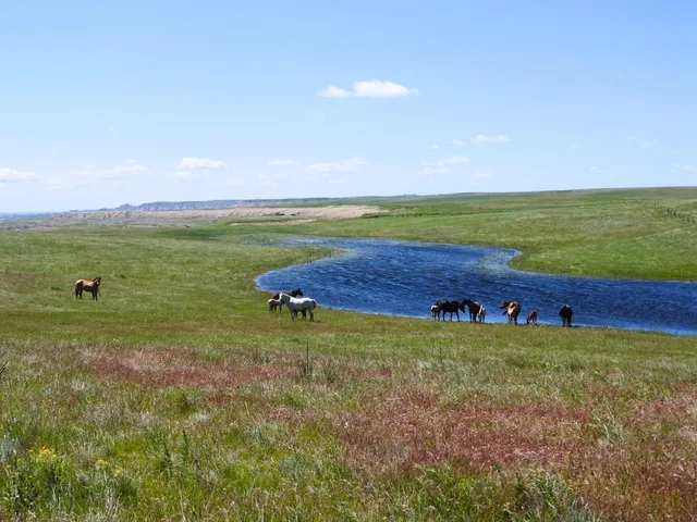 24900 Spring Draw Rd, Scenic, SD 57780