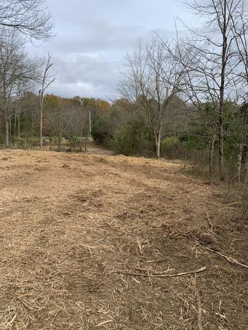 Plain View Ln, Spring Hill, TN 37174