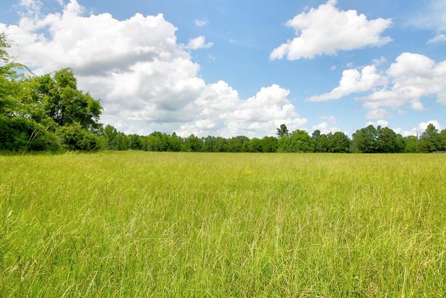 3551 County Rd, Wells, TX 75976