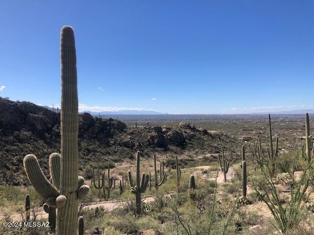 4000 N  Caliente Canyon Pl, Tucson, AZ 85749
