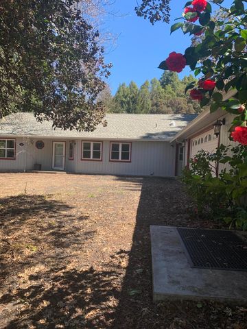 165 Tranquility Ln, Whitethorn, CA 95589