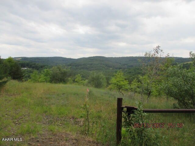 Cabbage & Iris Rd, Northern Cambria, PA 15714