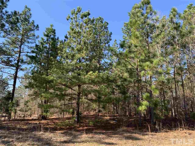 66 Pat Way Ln, Lillington, NC 27546