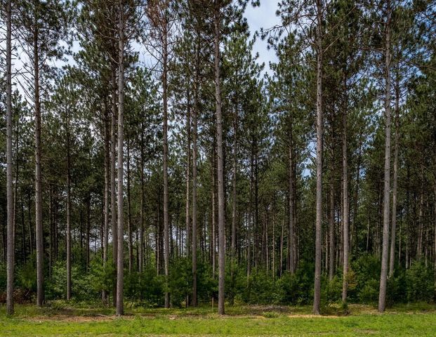 Lot 10 TWO SISTERS COURT, Stevens Pt, WI 54482