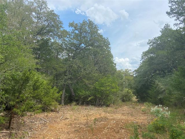 406 Paffen Rd, Paige, TX 78659