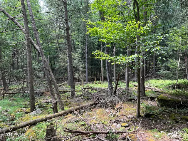 Lot 75 Happy Hollow Dr, Shohola, PA 18458
