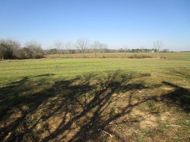 Lot  One Culver Rd, Newville, AL 36353