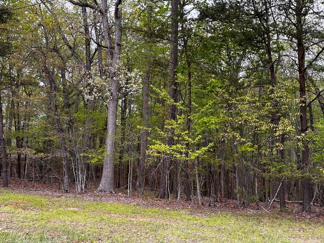 Lot 2 Deerwood Dr, Huddleston, VA 24104