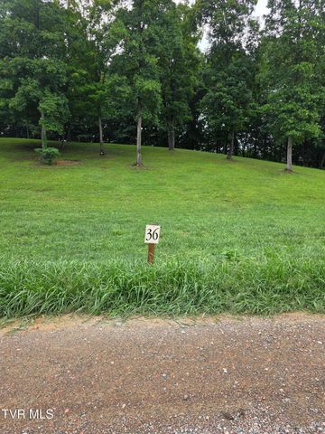 36 Summerfield Dr, Butler, TN 37640