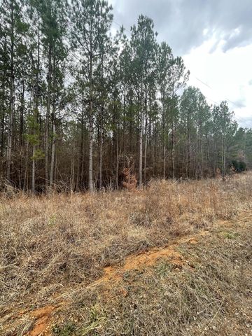 2 County Road 204, Tiplersville, MS 38674