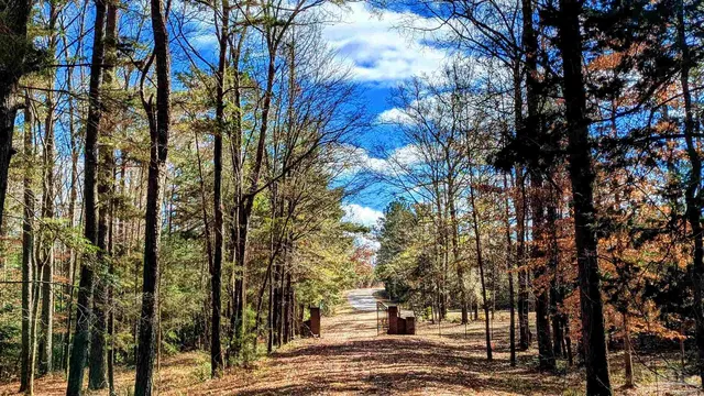 New Hope Rd, Millry, AL 36558