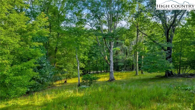 TBD NC Hwy 88 E, Laurel Springs, NC 28644