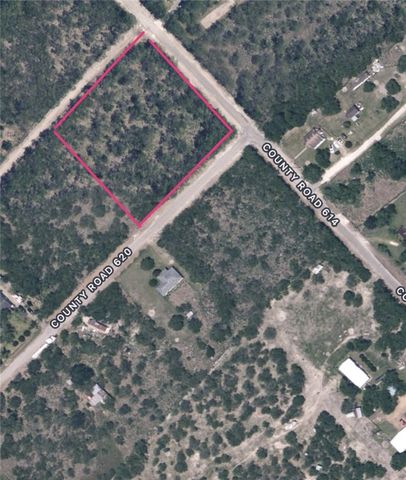 County Rd, Skidmore, TX 78389