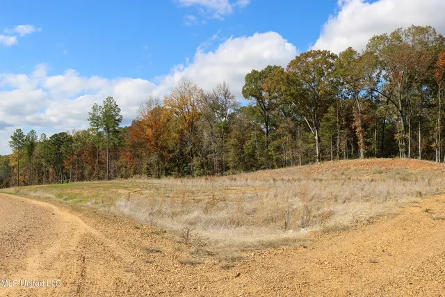 3 Hugh White State Park Rd #3, Grenada, MS 38901