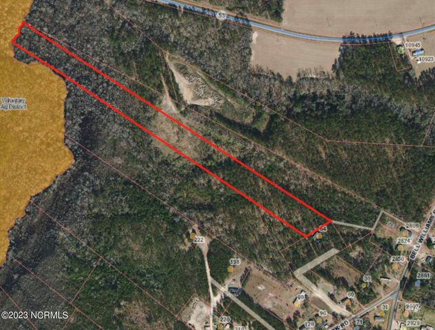 9.31 Acres Bell Williams Road, Atkinson, NC 28421