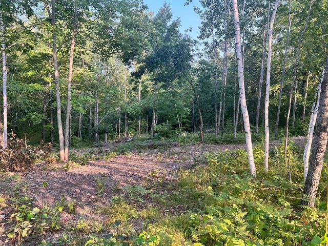 7773 White Overlook Dr, Pequot Lakes, MN 56472