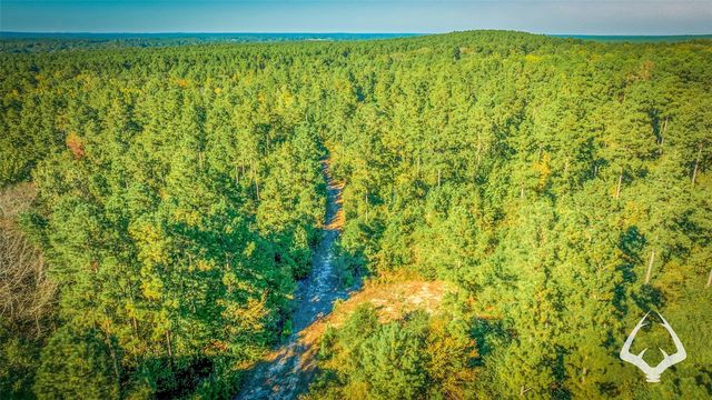County Road 3250, Mount Enterprise, TX 75681