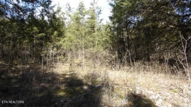 Lewis James Ln, Riddleton, TN 37151