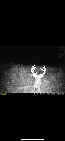 264 Highway B, Spickard, MO 64679