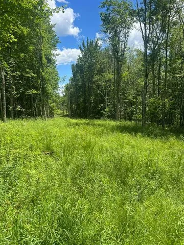8050 Main St, Hunter, NY 12442