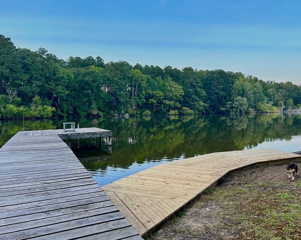 232 Ash Hill Dr, Eutawville, SC 29048