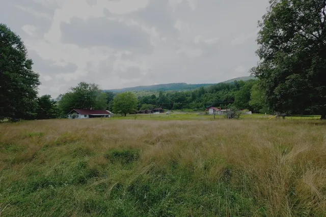 4694 Laurel Fork Rd, Rocky Gap, VA 24366