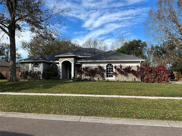 10009 Country Carriage Cir, Riverview, FL 33569