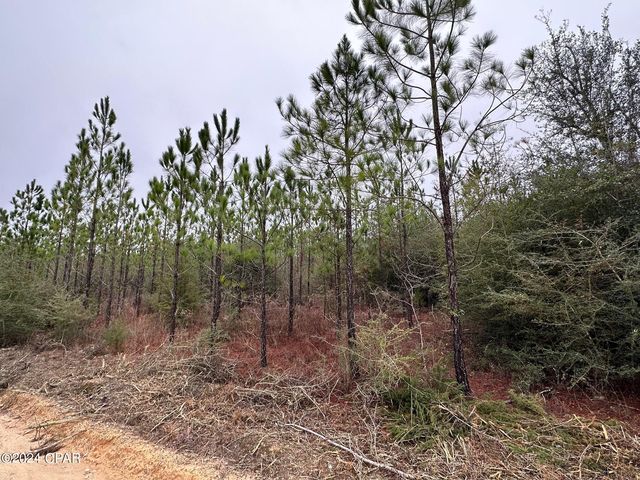Tract 6418 S  Mattox Springs Rd #4, Caryville, FL 32427