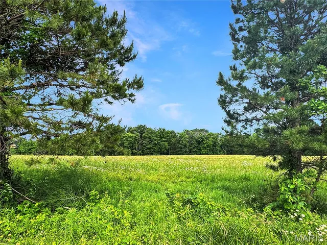 29 Acres Ml, New Haven, MO 63068