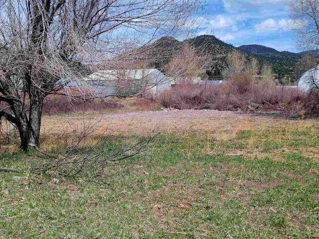 128 Sawmill St, South Fork, CO 81154