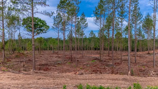 5 Grant #55, Hensley, AR 72065