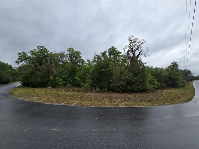 6727 N  Linen Point #360, Dunnellon, FL 34433
