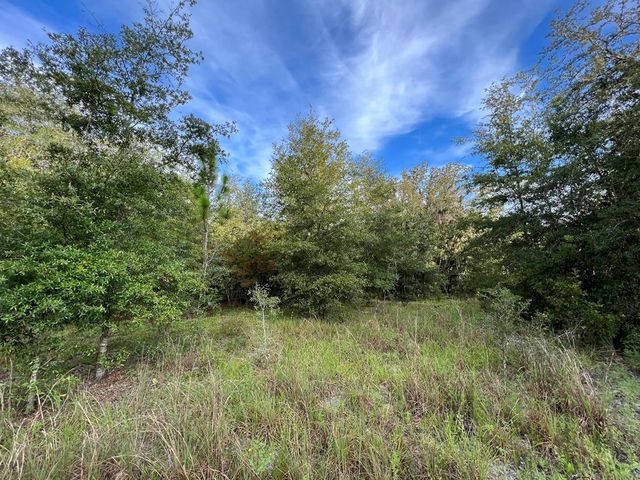 LOT 2 NW 20th Ave, Bell, FL 32619