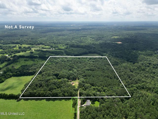 55 Amacker Rd, Poplarville, MS 39470