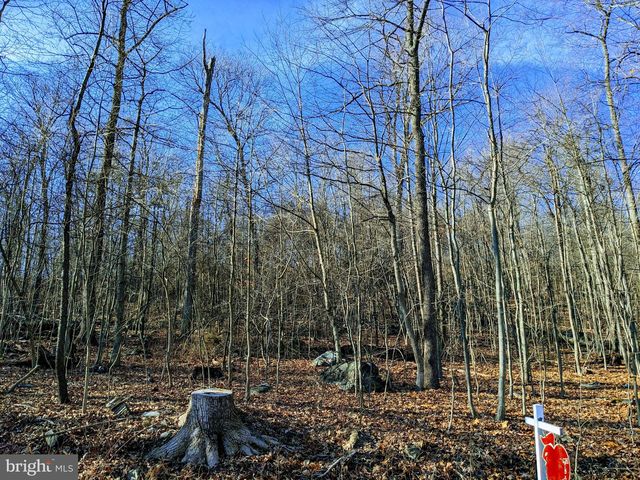 Lot 2 Trego Mountain Rd, Keedysville, MD 21756