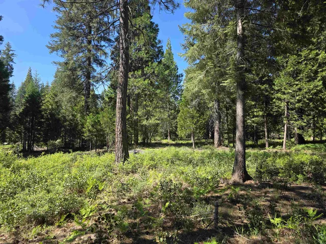 Lot 81 Panther Meadow Dr, McCloud, CA 96057
