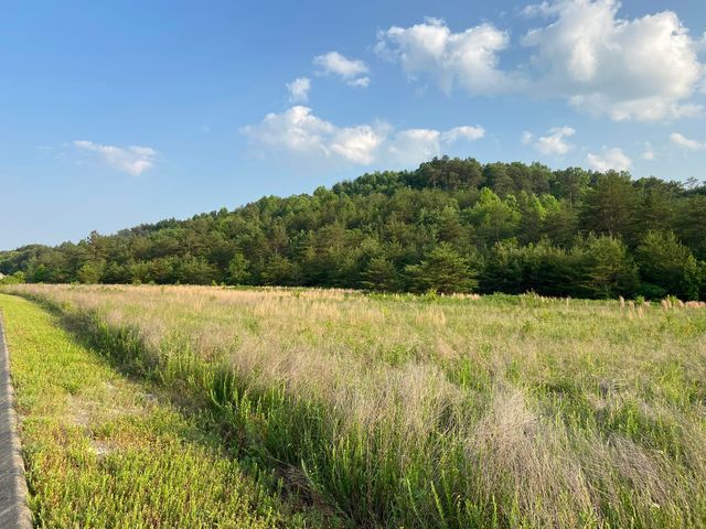 Lot 8 Fawn Valley Rd, Corbin, KY 40701