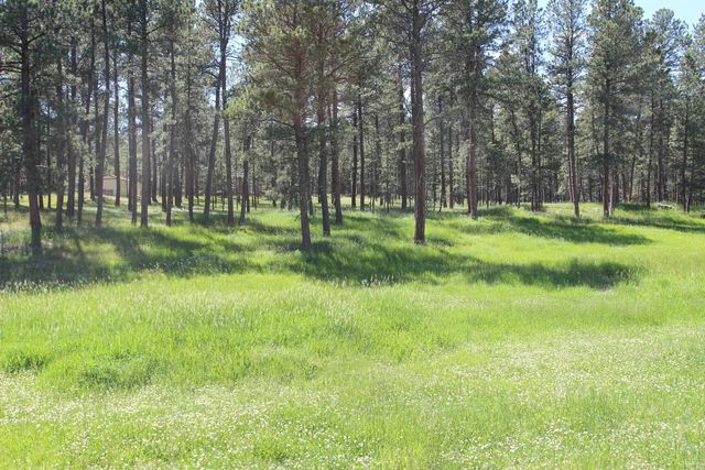 Lot 1 Other, Custer, SD 57730