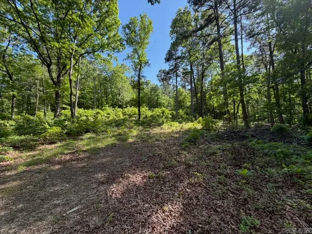 Ernie Woods Rd, Rose Bud, AR 72137