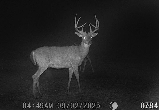 2160 State Route Y, Harrisburg, MO 65256