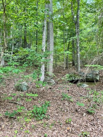 11 Lonesome Pine Rd, Murphy, NC 28906