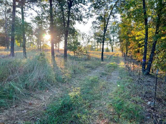 County Road 7400, West Plains, MO 65775