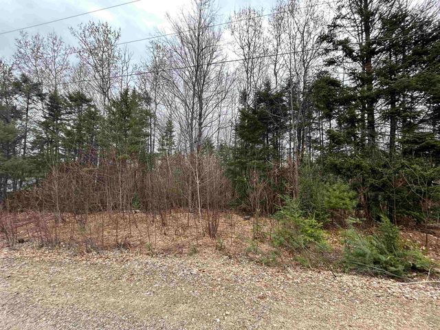 Lot 15 Holbrook Hill Road, North Stratford, NH 03590
