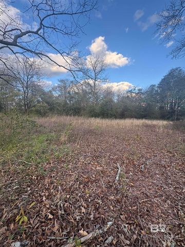 1508 S  Alabama Ave #40-41, Monroeville, AL 36460