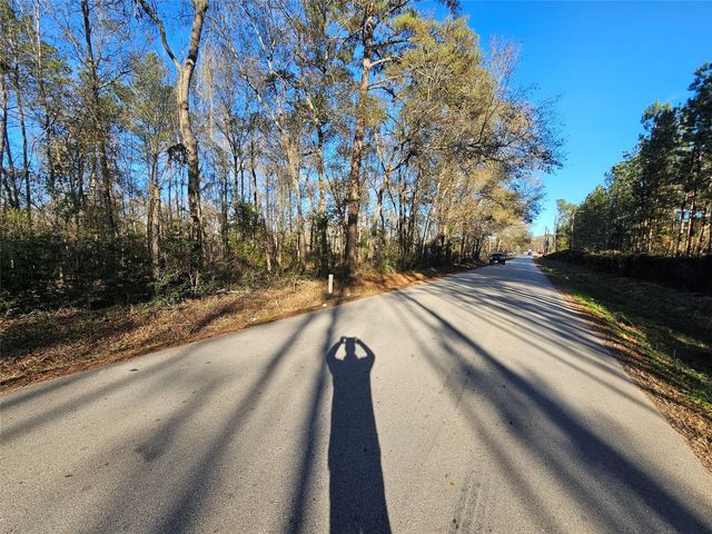 2 Sherwood Dr #1, Shepherd, TX 77371