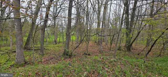 C St, Oakland, MD 21550