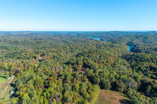 408 Massingille Ln, Allons, TN 38541